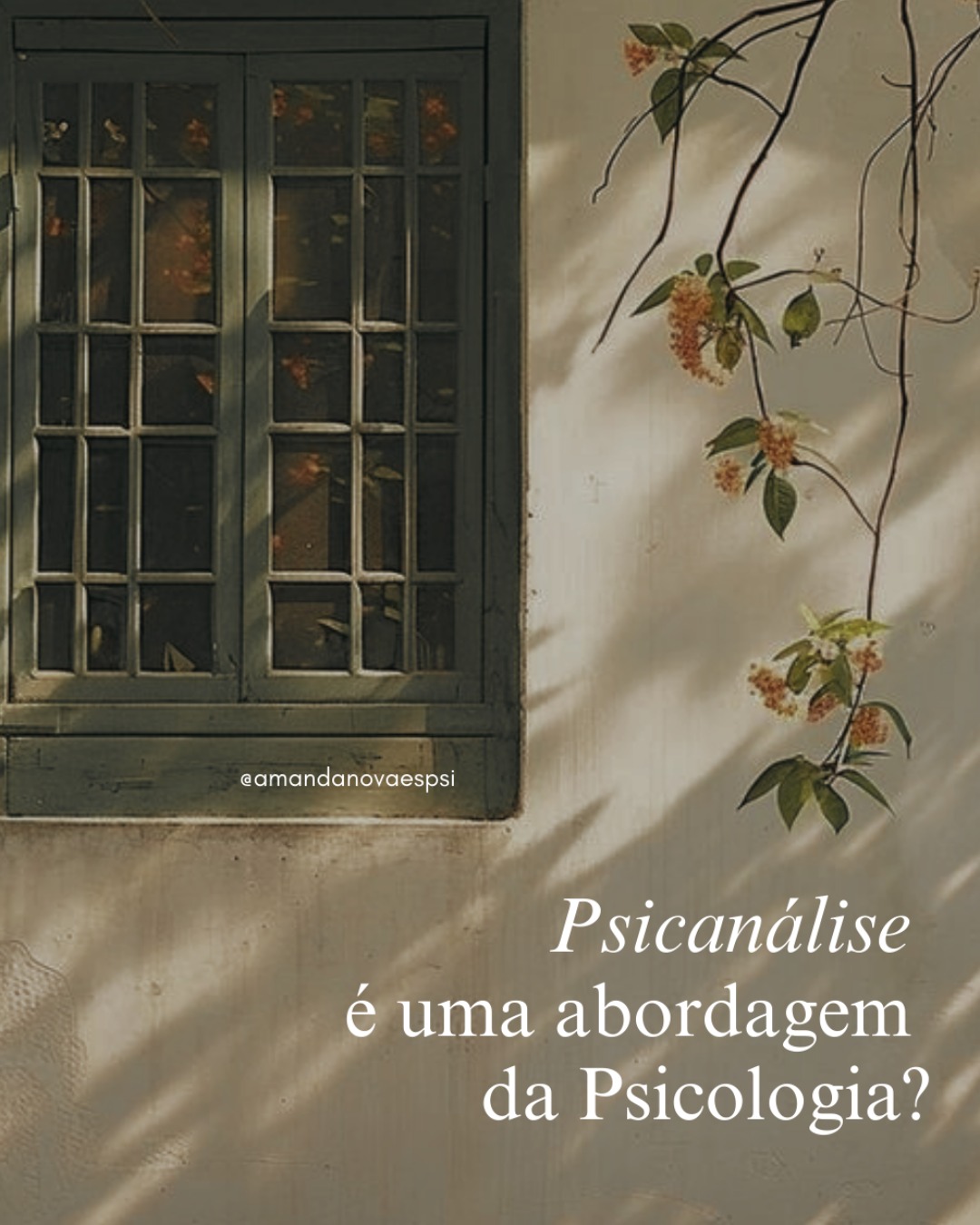 WhatsApp Image 2026-01-22 at 14.20.19